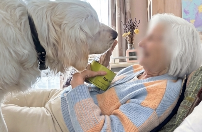Une résidente caresse un chien de médiation tenu par une intervenante dans un couloir d’EHPAD.